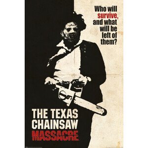 Plakát, Obraz - Texaský masakr motorovou pilou - Who Will Survive?, (61 x 91.5 cm)