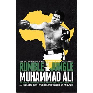 Plakát, Obraz - Muhammad Ali - Rumble in the Jungle, (61 x 91.5 cm)