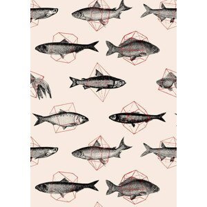 Bodart, Florent - Obrazová reprodukce Fishes in Geometrics, (30 x 40 cm)