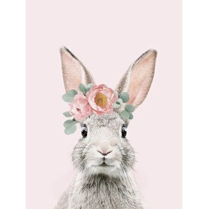 Ilustrace Flower crown bunny pink, Sisi & Seb, (30 x 40 cm)