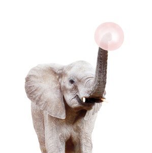 Umělecká fotografie Elephant with bubble gum, Sisi & Seb, (30 x 40 cm)