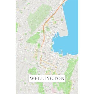 Mapa Wellington color, (26.7 x 40 cm)