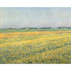 Caillebotte, Gustave - Obrazová reprodukce The Plain of Gennevilliers, Yellow Fields; La plaine de Gennevilliers, champs jaunes, (40 x 30 cm)