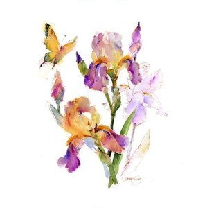 Keeling, John - Obrazová reprodukce Iris with yellow butterfly, 2016,, (30 x 40 cm)