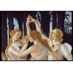 Botticelli, Sandro (Alessandro di Mariano di Vanni Filipepi) - Obrazová reprodukce Spring (La Primavera), (40 x 26.7 cm)