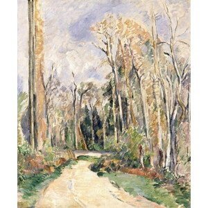 Cezanne, Paul - Obrazová reprodukce Path at the entrance of the forest, (35 x 40 cm)