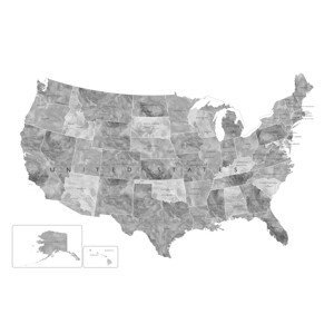 Mapa Gray watercolor map of the US with state capitals, Blursbyai, (40 x 26.7 cm)