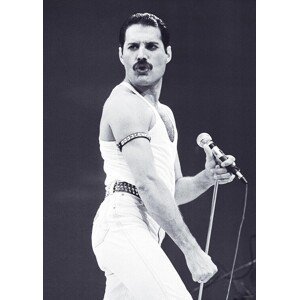 Plakát, Obraz - Freddie Mercury - Live Aid, (59.4 x 84.1 cm)
