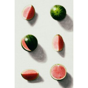 Ilustrace Fruit 14, Leemo, (26.7 x 40 cm)