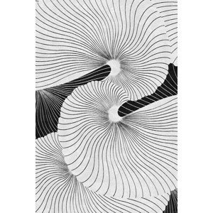 Ilustrace Shell, Leemo, (26.7 x 40 cm)