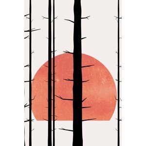 Ilustrace Forest Fairytales BLANC, Kubistika, (26.7 x 40 cm)