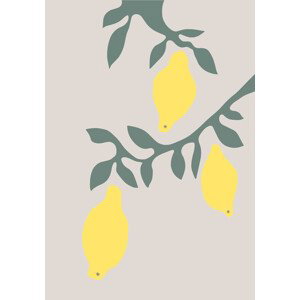 Ilustrace Lemons, Studio Collection, (26.7 x 40 cm)
