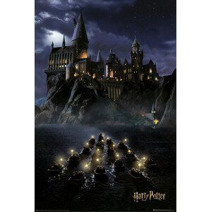 Plakát, Obraz - Harry Potter - Hogwarts, (61 x 91.5 cm)