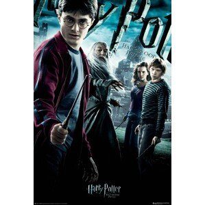 Plakát, Obraz - Harry Potter - Princ dvojí krve, (61 x 91.5 cm)