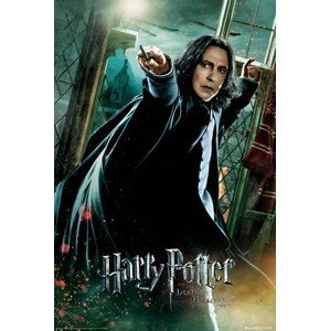 Plakát, Obraz - Harry Potter - Relikvie smrti - Snape, (61 x 91.5 cm)