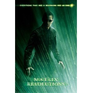 Plakát, Obraz - Matrix Revolutions - Neo, (61 x 91.5 cm)