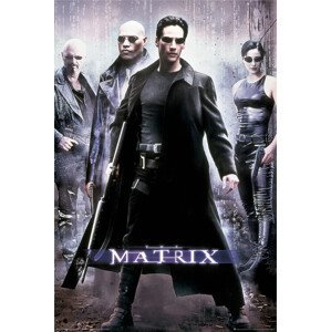 Plakát, Obraz - Matrix - Hackeři, 61x91.5 cm