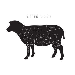 Ilustrace Lamb Cuts, Studio Collection, (40 x 26.7 cm)