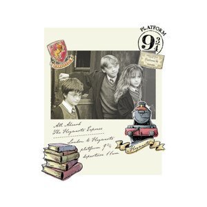 Umělecký tisk Harry Potter - Hermiona, Harry a Ron, (26.7 x 40 cm)