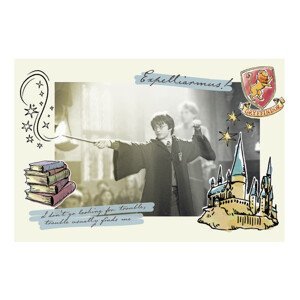 Umělecký tisk Harry Potter - Expelliarmus, (40 x 26.7 cm)