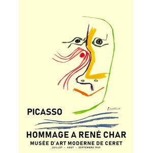 Ilustrace Picasso 1969, Finlay & Noa, (30 x 40 cm)