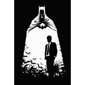 Umělecký tisk Batman - Tajná identita, (26.7 x 40 cm)