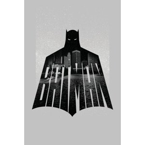 Umělecký tisk Batman - Beauty of Flight, (26.7 x 40 cm)