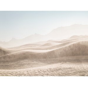 Umělecká fotografie Desert Landscape, Sisi & Seb, (40 x 30 cm)