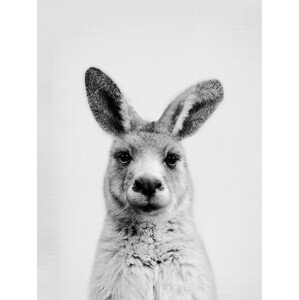 Umělecká fotografie Kangaroo, Sisi & Seb, (30 x 40 cm)