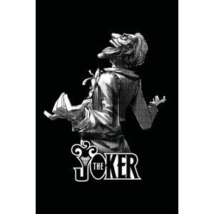 Umělecký tisk Joker - Šílenství, (26.7 x 40 cm)