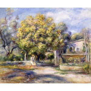 Renoir, Pierre Auguste - Obrazová reprodukce Houses in Cagnes, c.1905, (40 x 35 cm)