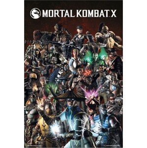 Plakát, Obraz - Mortal Kombat X, (61 x 91.5 cm)