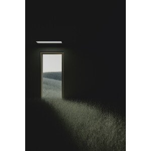 Umělecká fotografie Dark room in the middle of green cereal field series  6, Javier Pardina, (26.7 x 40 cm)