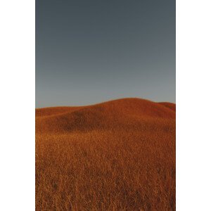 Umělecká fotografie Minimal landscpases of a red grass at with a gradient sky series 4, Javier Pardina, (26.7 x 40 cm)