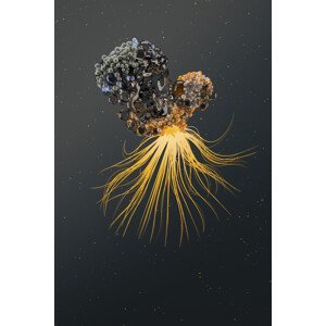 Umělecká fotografie Abstract nanoparticles inside water series 3, Javier Pardina, (26.7 x 40 cm)