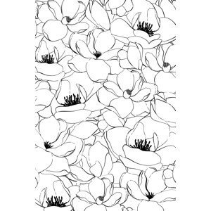 Ilustrace Magnolias, Martina Pavlova, (26.7 x 40 cm)