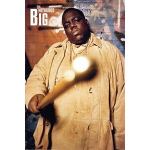 Plakát, Obraz - The Notorious B.I.G. - Cane, (61 x 91.5 cm)