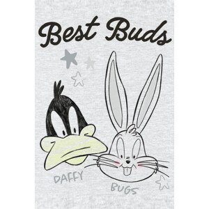Umělecký tisk Daffy and Bugs, (26.7 x 40 cm)