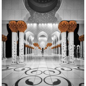 Umělecká fotografie Sheikh Al Zayed Grand Mosque, Massimo Cuomo, (40 x 40 cm)
