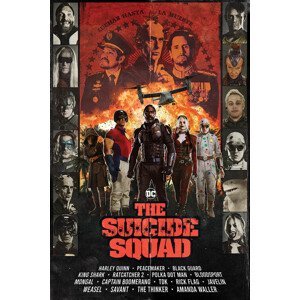 Plakát, Obraz - The Suicide Squad - Team, (61 x 91.5 cm)