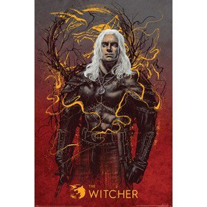 Plakát, Obraz - The Witcher - Geralt the White Wolf, (61 x 91.5 cm)
