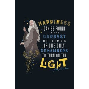 Umělecký tisk Harry Potter - Quote, (26.7 x 40 cm)