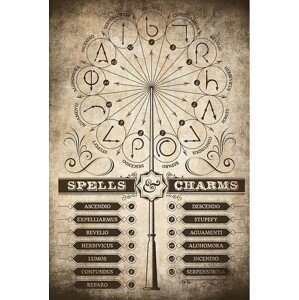 Plakát, Obraz - Harry Potter - Spells and Charms, (61 x 91.5 cm)