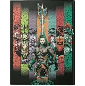 Obraz na plátně Aquaman - Unite the Kingdoms, (60 x 80 cm)