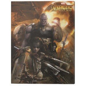 Obraz na plátně Avengers: Infinity War - Children of Thanos, (60 x 80 cm)