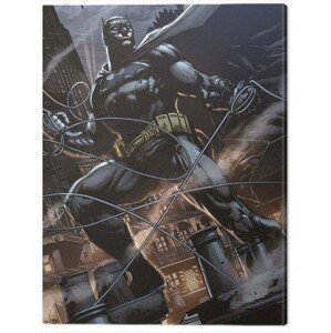 Obraz na plátně Batman - Rooftop, (60 x 80 cm)