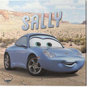 Obraz na plátně Cars - Sally, (40 x 40 cm)