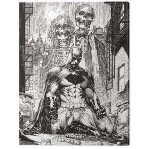 Obraz na plátně DC Comics - Batman Haunted, (60 x 80 cm)