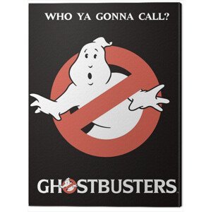 Obraz na plátně Ghostbusters - Who You Gonna Call?, (60 x 80 cm)