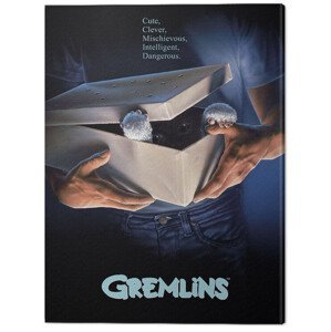 Obraz na plátně Gremlins - One Sheet Gizmo, (60 x 80 cm)